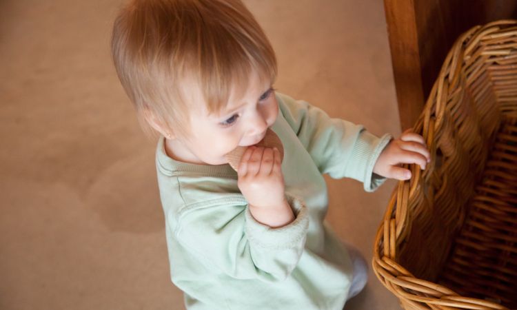 Unbedenkliches, sicheres Holzspielzeug für Babys. Bild: Baby erkundet Holzspielzeug mit dem Mund