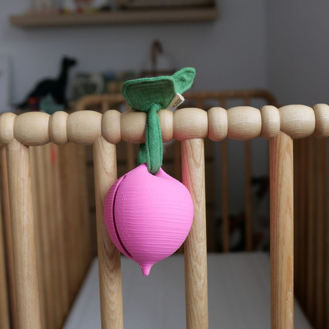 Schnullerbox im Fruchtdesign