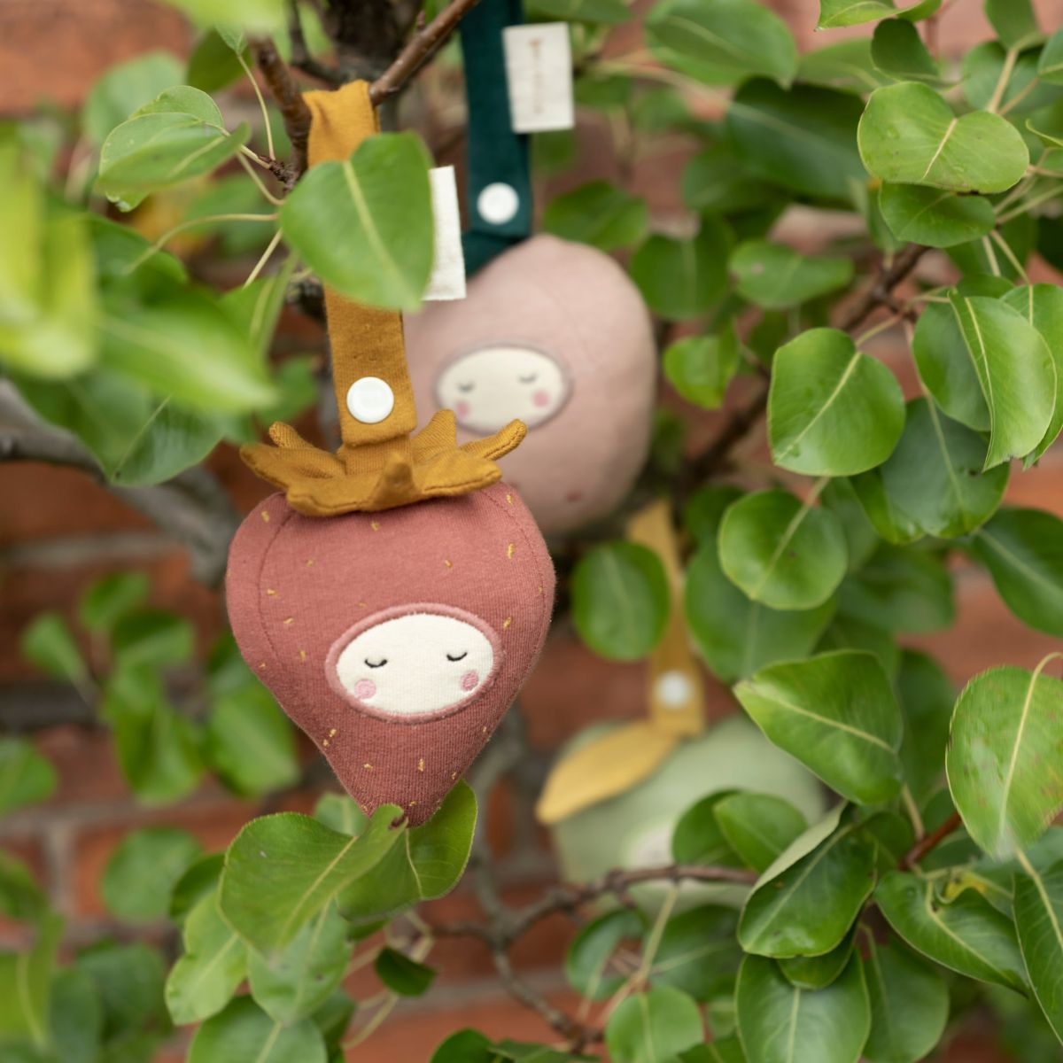 Activity-Spielzeug &