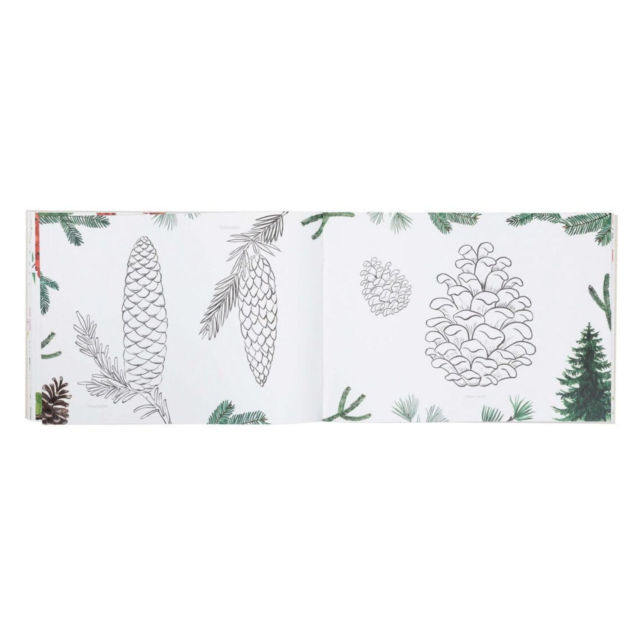 Naturmalbuch mit heimischen Tieren und Pflanzen