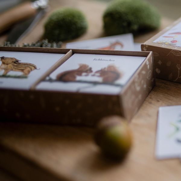 plastikfrei und naturnah spielen, Gemeinschaftsspiel Memory mit heimischen Tieren von Atelier Brigitte Baldrian
