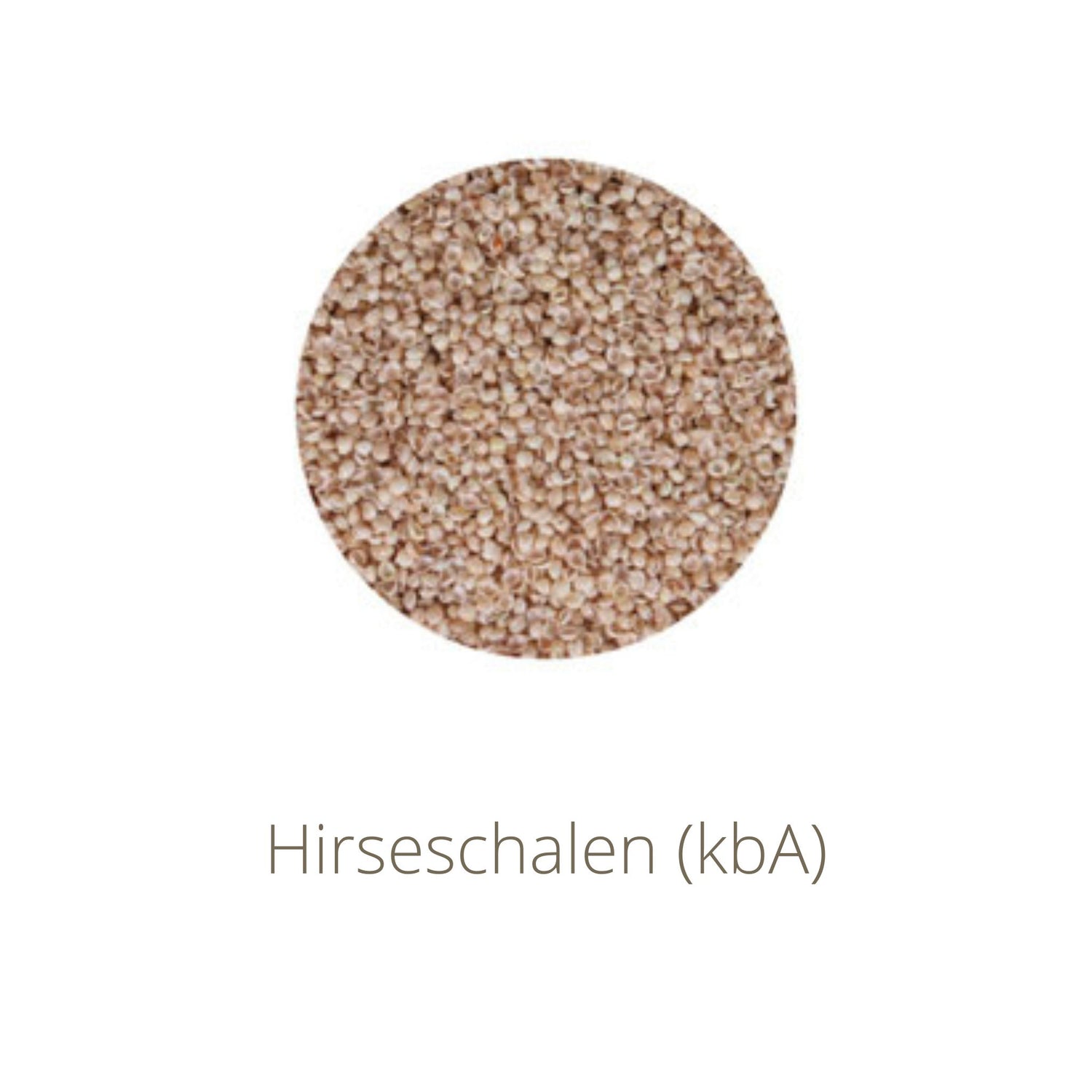 Kräuterdrache